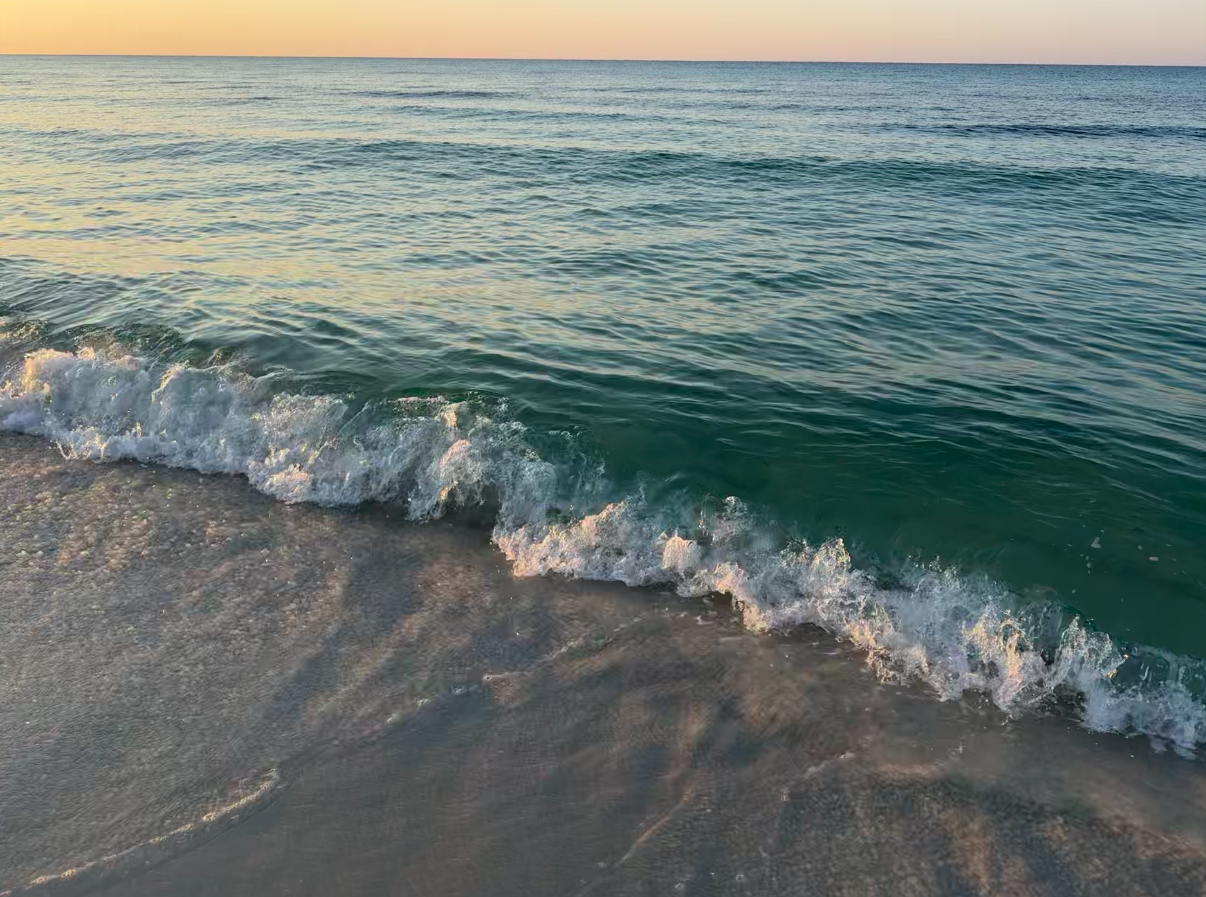 The Beach Speaks in Waves